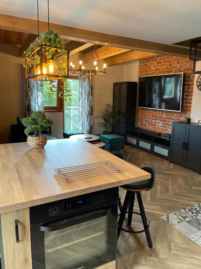 Apartamenty Miejscowka - Apartamenty Z Widokiem Na Gory - Bezplatny Parking Zakopane Exteriér fotografie